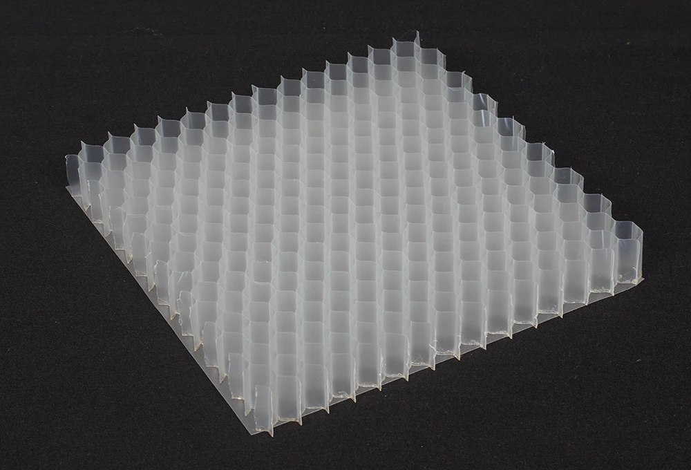 1622442700.jpg 1000.webp.jpg